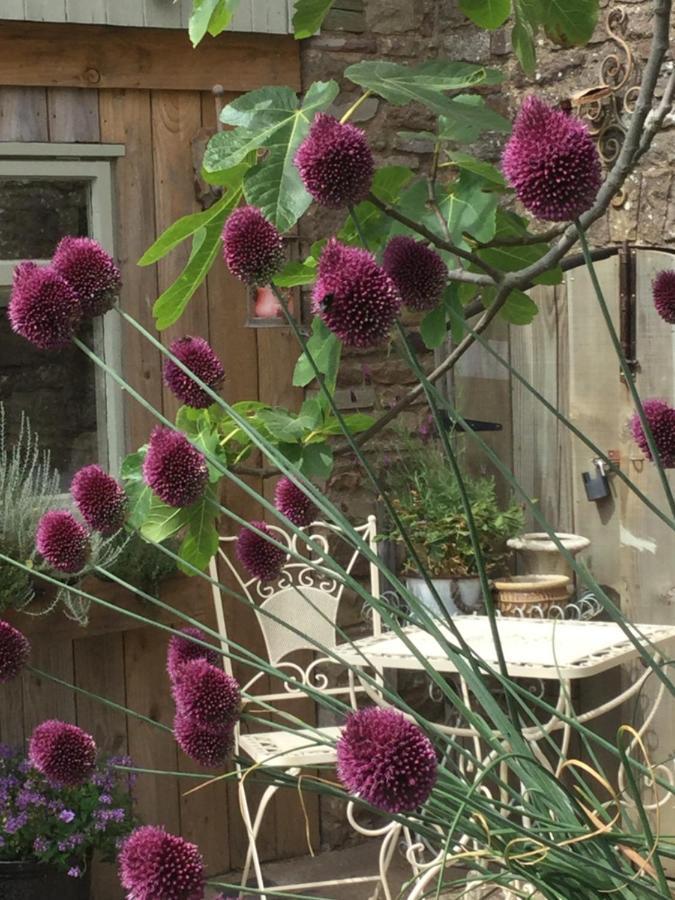 גלוסטר Lavender Cottage מראה חיצוני תמונה