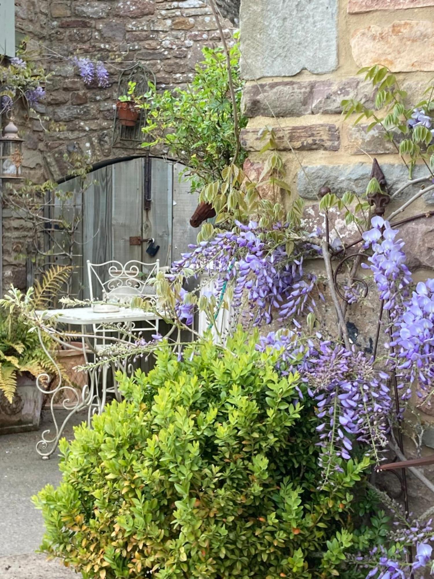 גלוסטר Lavender Cottage מראה חיצוני תמונה