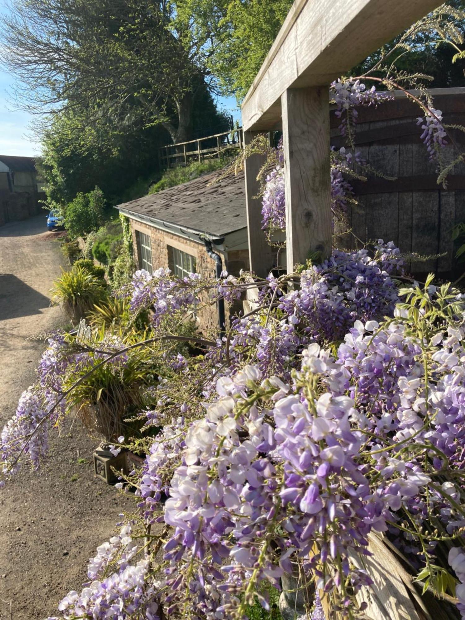 גלוסטר Lavender Cottage מראה חיצוני תמונה